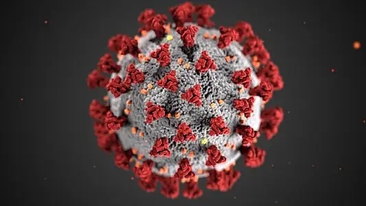 El virus Sars-CoV-2 podría autodestruirse