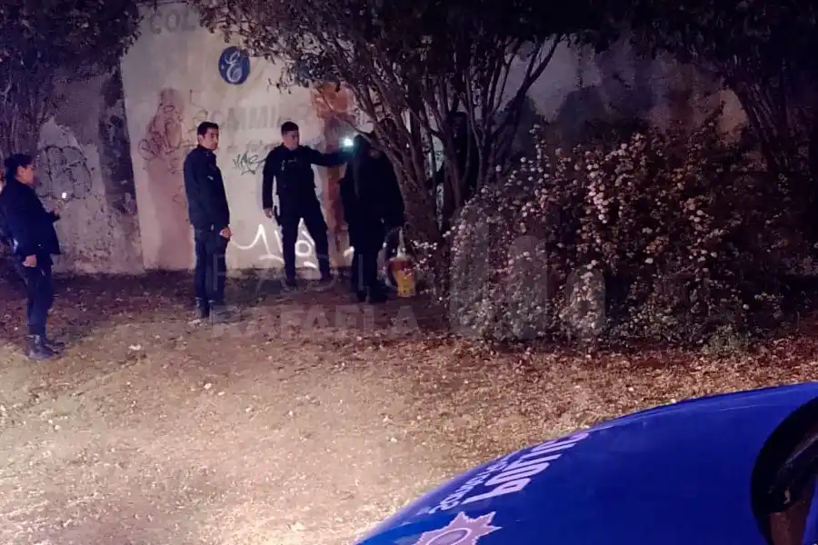 Cascoteó a un comercio e intentó esconderse en unos arbustos: lo vieron por las cámaras y terminó detenido