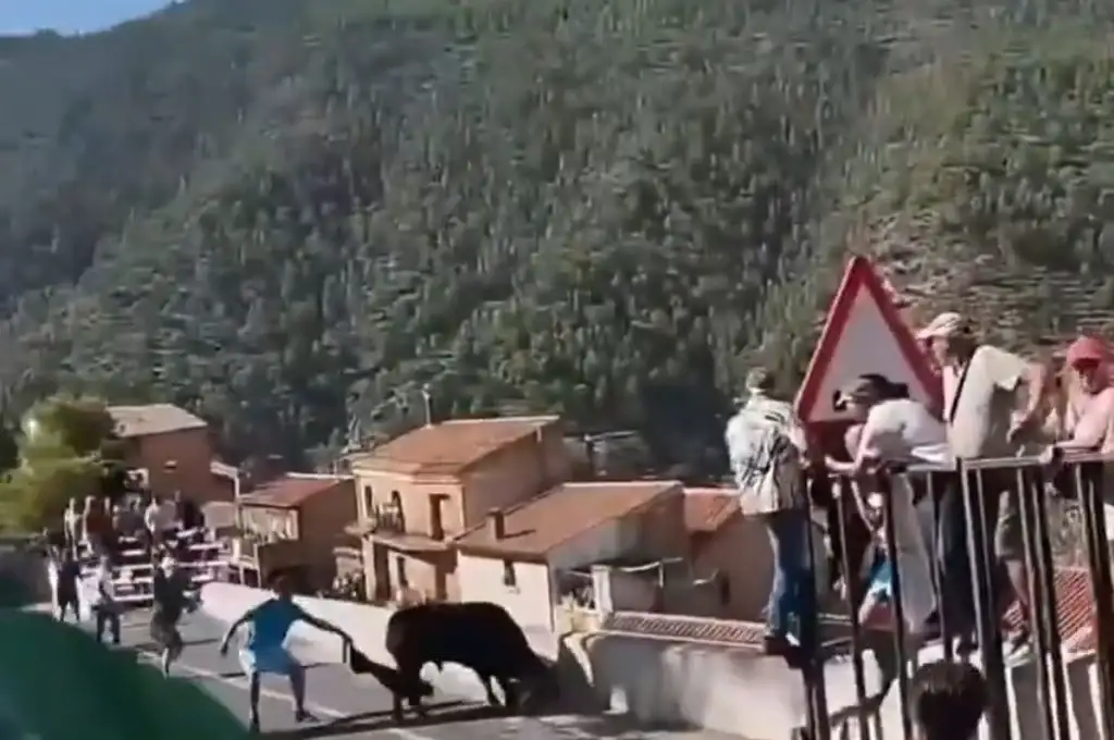 Mujer embestida por un toro