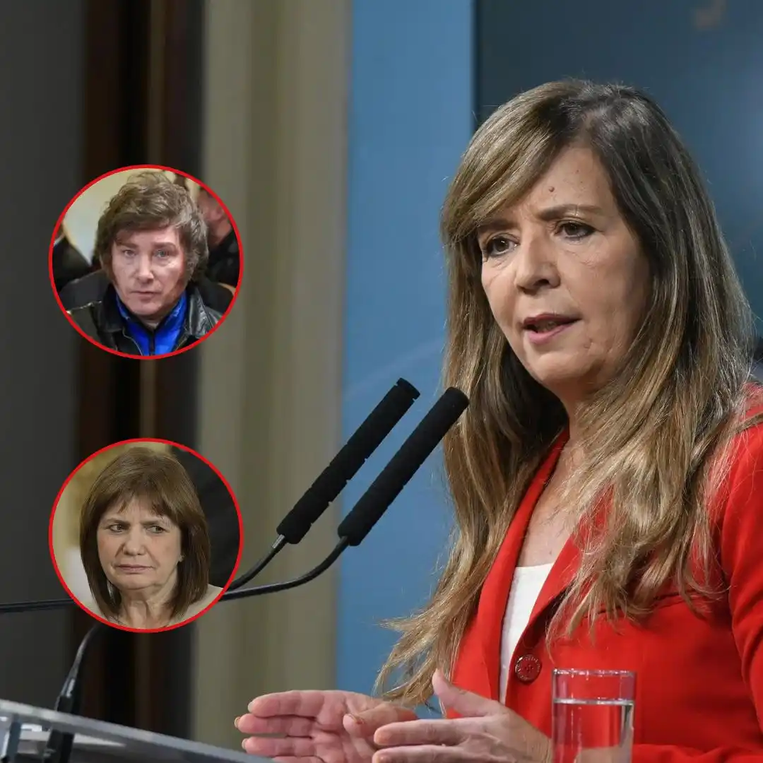Cerruti insiste que hay cuentas ligadas a Milei y a Patricia Bullrich que incentivaron los saqueos