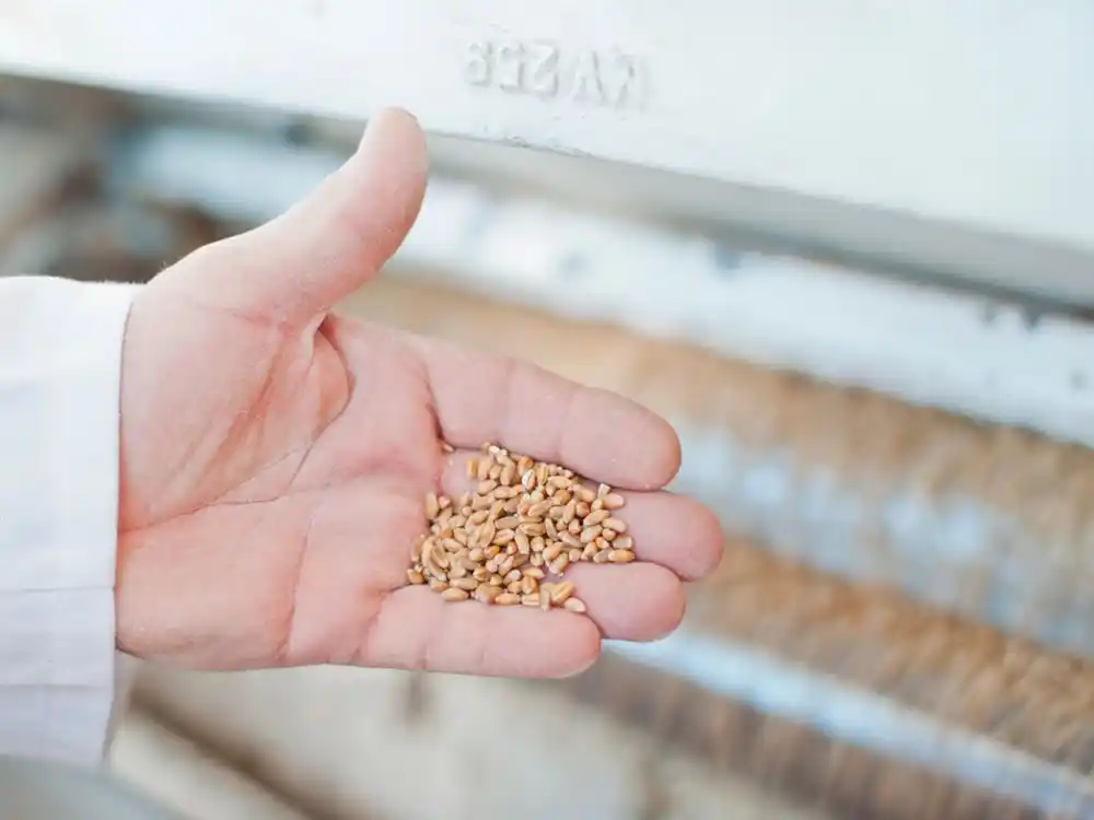 En enero, la producción industrial santafesina cayó un 9,7% interanual