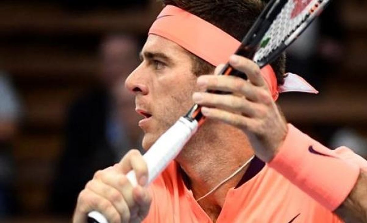Del Potro le ganó a Almagro y ahora va contra Karlovic