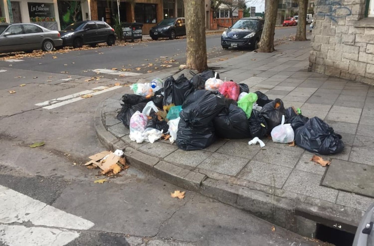 Mar del plata amaneció llena de basura