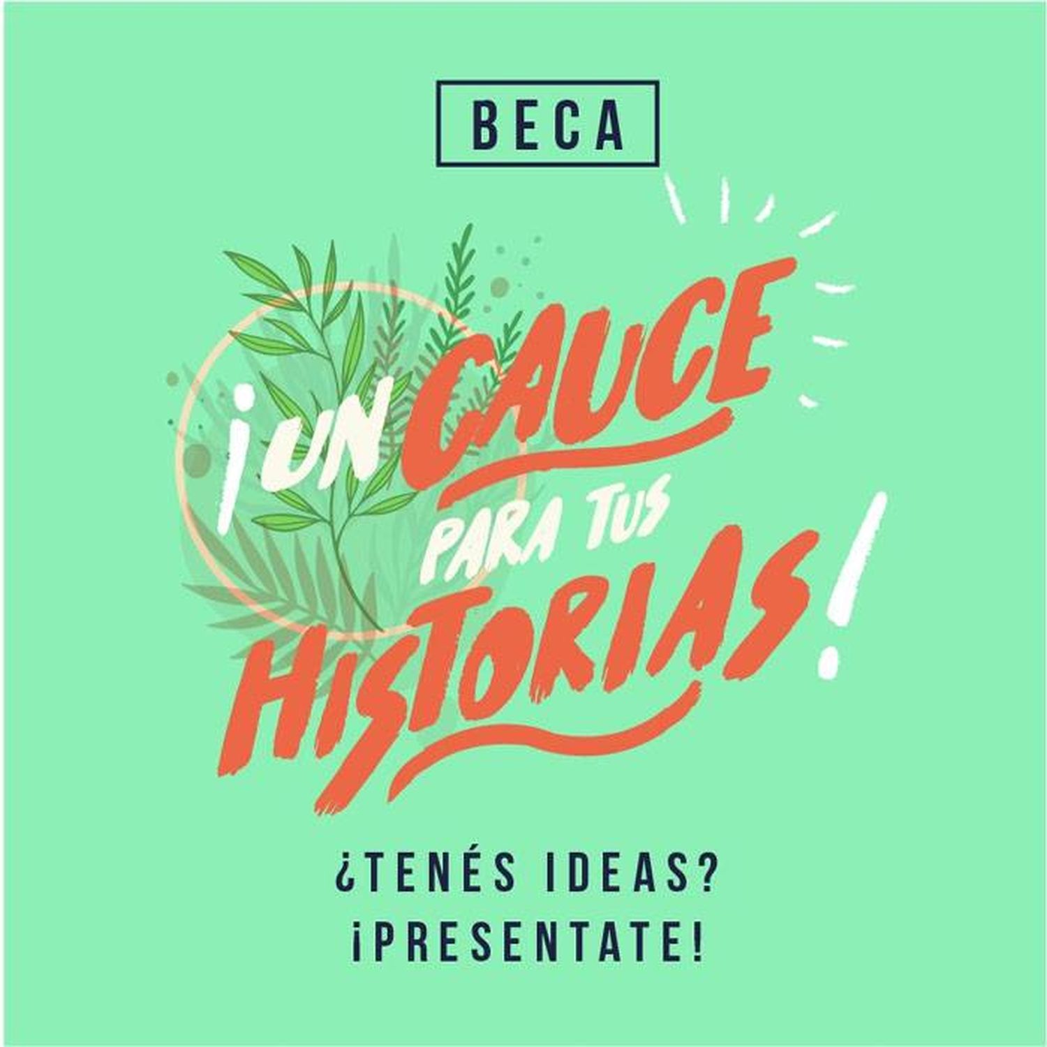Fundación Cauce otorgará becas para producción de contenido ambiental