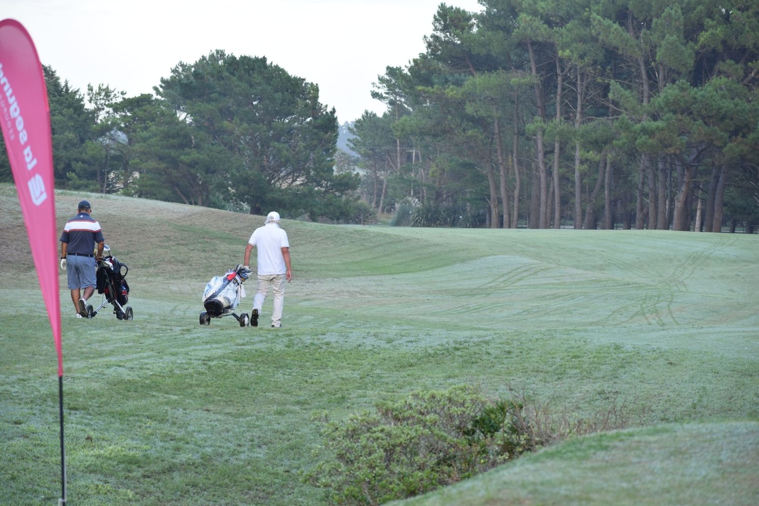 Los golfistas en el Necochea Golf Club