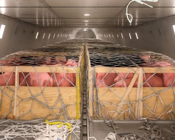Un Boeing 747 transporta 1.200 cerdos al otro lado del mundo