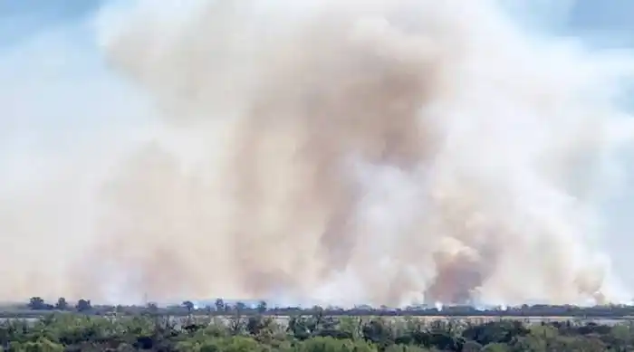 Entre Ríos reestructura con  Nación las tareas en las islas ante el aislamiento de brigadistas