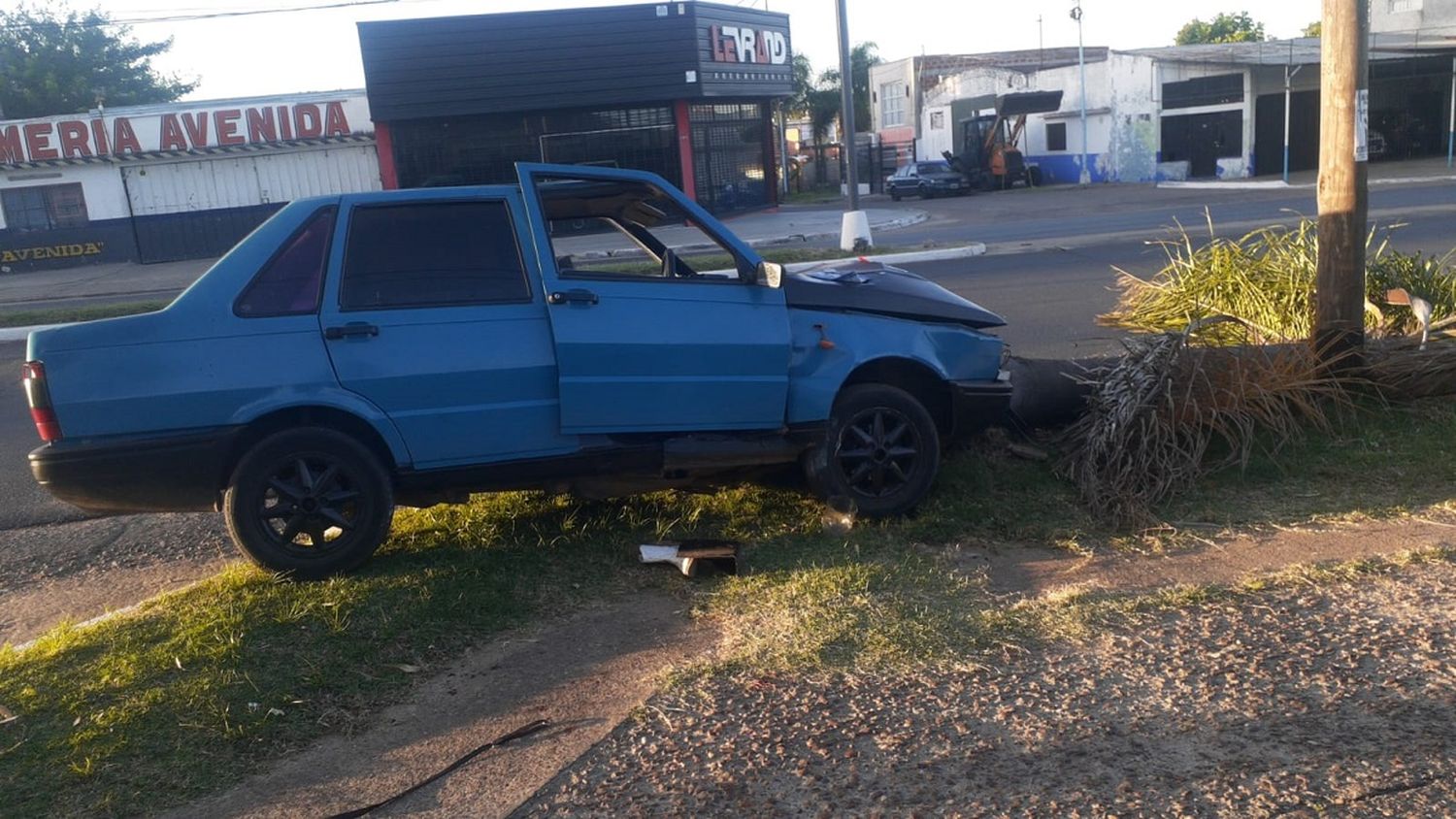 Hospitalizaron a dos jóvenes tras chocar su automóvil contra una palmera