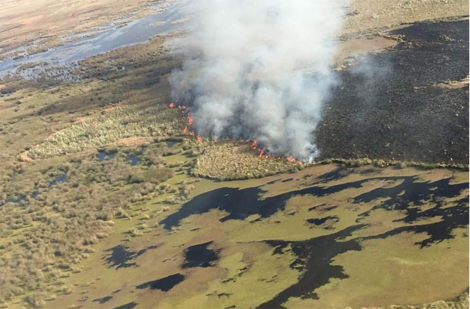 Desde Entre Ríos presentaron una denuncia penal por los incendios en las islas de Santa Fe