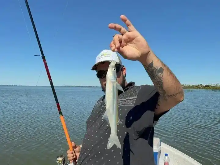 Nuevo testimonio refuerza el resurgimiento del pejerrey en la laguna de Chascomús