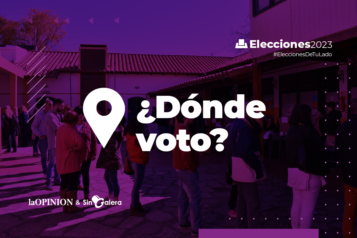 Elecciones Paso 2023: en qué escuela voto, según mi apellido