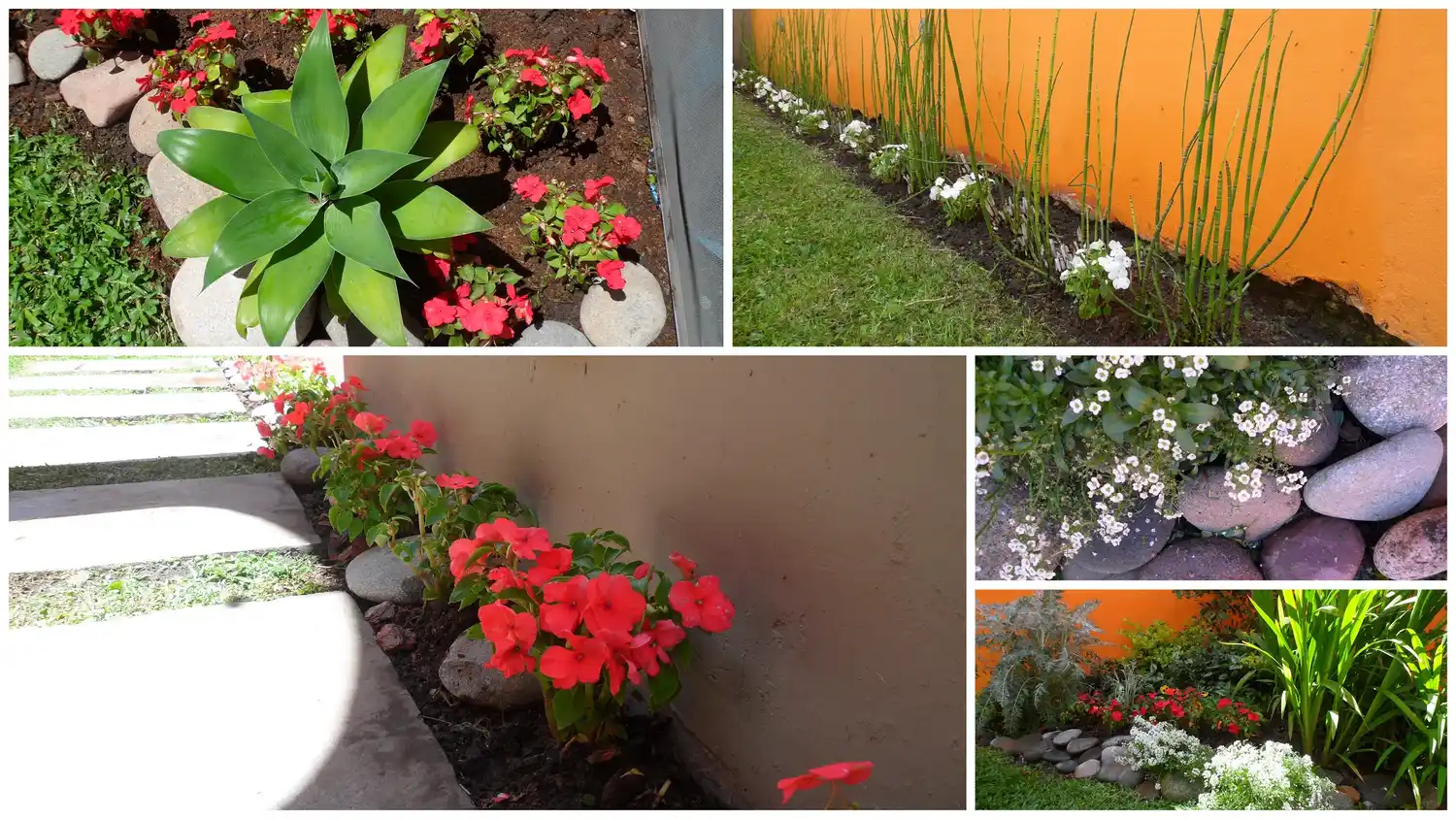 Jardines de otoño: también son bellos