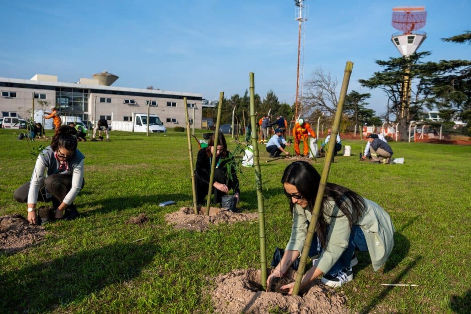 Sustentabilidad: se plantaron 50 árboles nativos en el Aeropuerto Internacional de Ezeiza