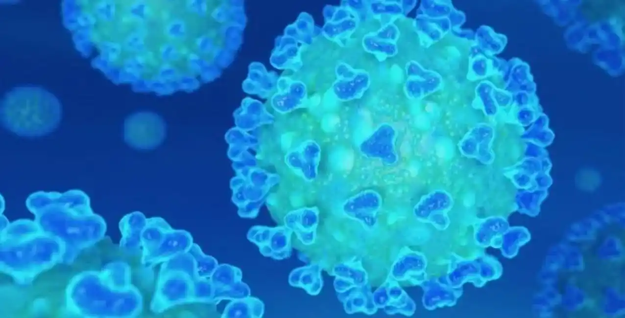 La variante llama la atención debido a que posee más de 30 cambios en sus proteínas pico.