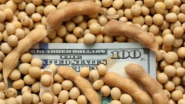 CRA advierte que el agro cobra con un dólar de $ 10 y paga con uno de $ 15