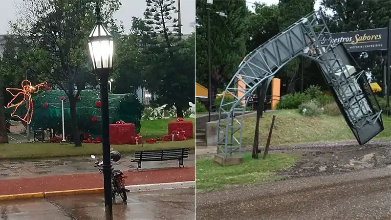 El fuerte temporal derribó hasta un árbol de navidad y un cartel lector de patentes