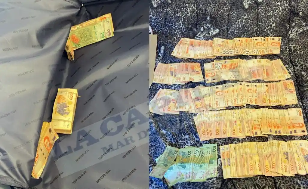 El hallazgo de 625 mil pesos en un bolso definió la suerte del jefe de Drogas Ilícitas