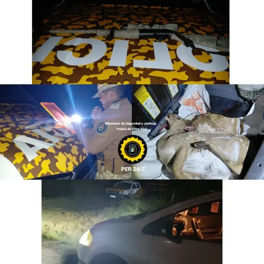 ciervos abatidos y armas - 2