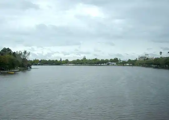 Un auto cayó al río y los ocupantes lograron salir por sus medios