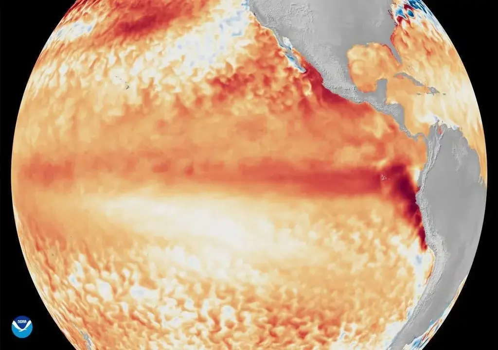 Más humedad y lluvias: El Niño se intensifica y pone al Litoral entre las zonas a seguir