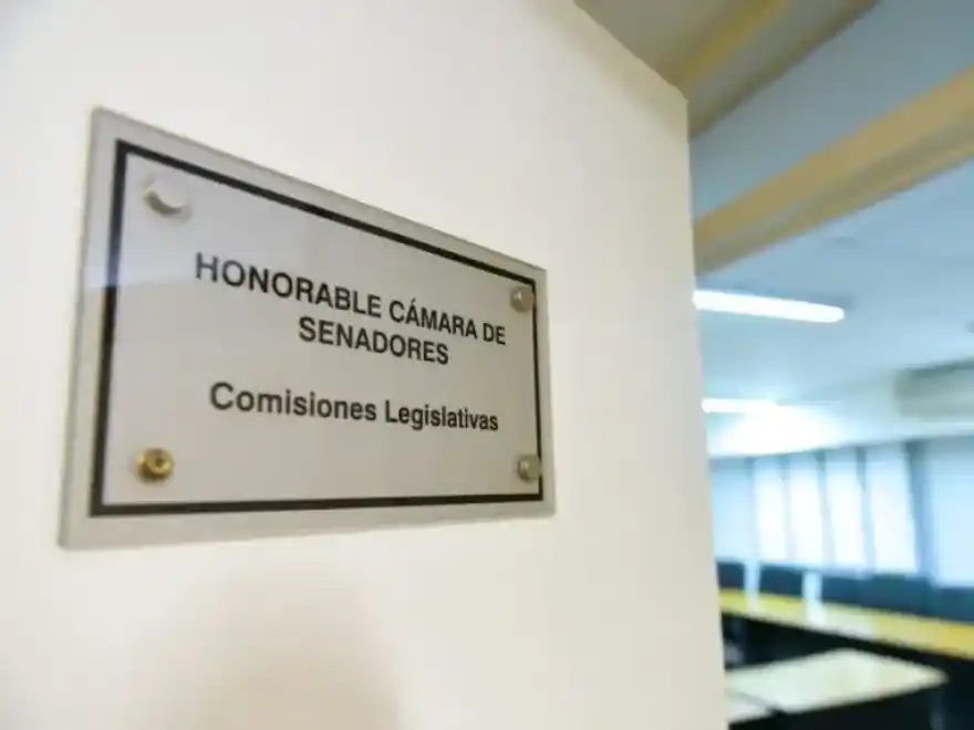 El Senado entrerriano definió sus comisiones permanentes para el período legislativo 2026