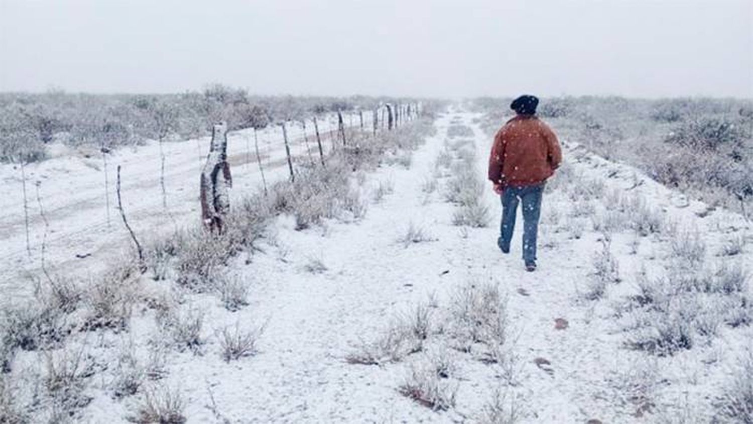 Brasil habla de un �Sevento histórico de frío y nieve⬝ en Entre Ríos y Uruguay