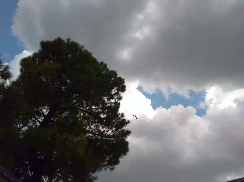 El día estará soleado y con algunas nubes