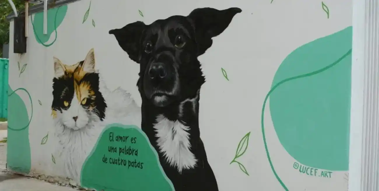 La Municipalidad de Santa Fe sancionará al dueño del pitbull que mató a “Garrafa”