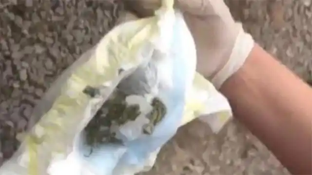 La detuvieron por intentar pasar droga a la cancha en el pañal de su bebé