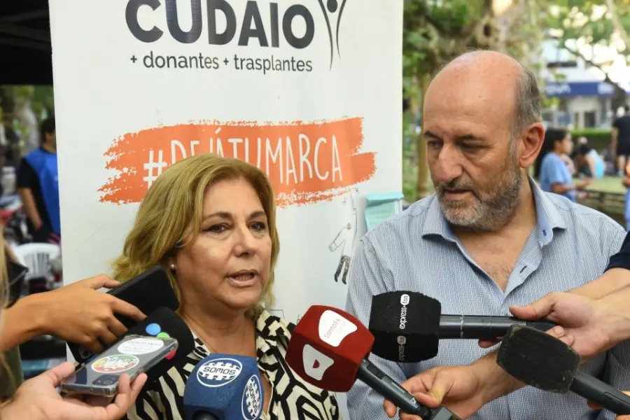 Dengue en la provincia: datos actualizados por el Ministerio de Salud de Santa Fe