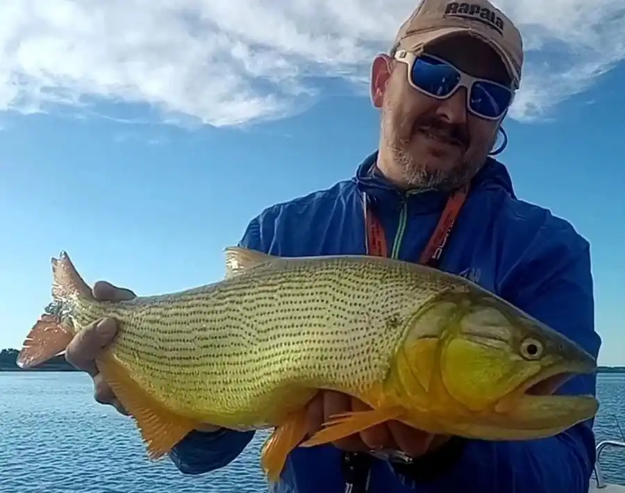 Fin de año a pura pesca