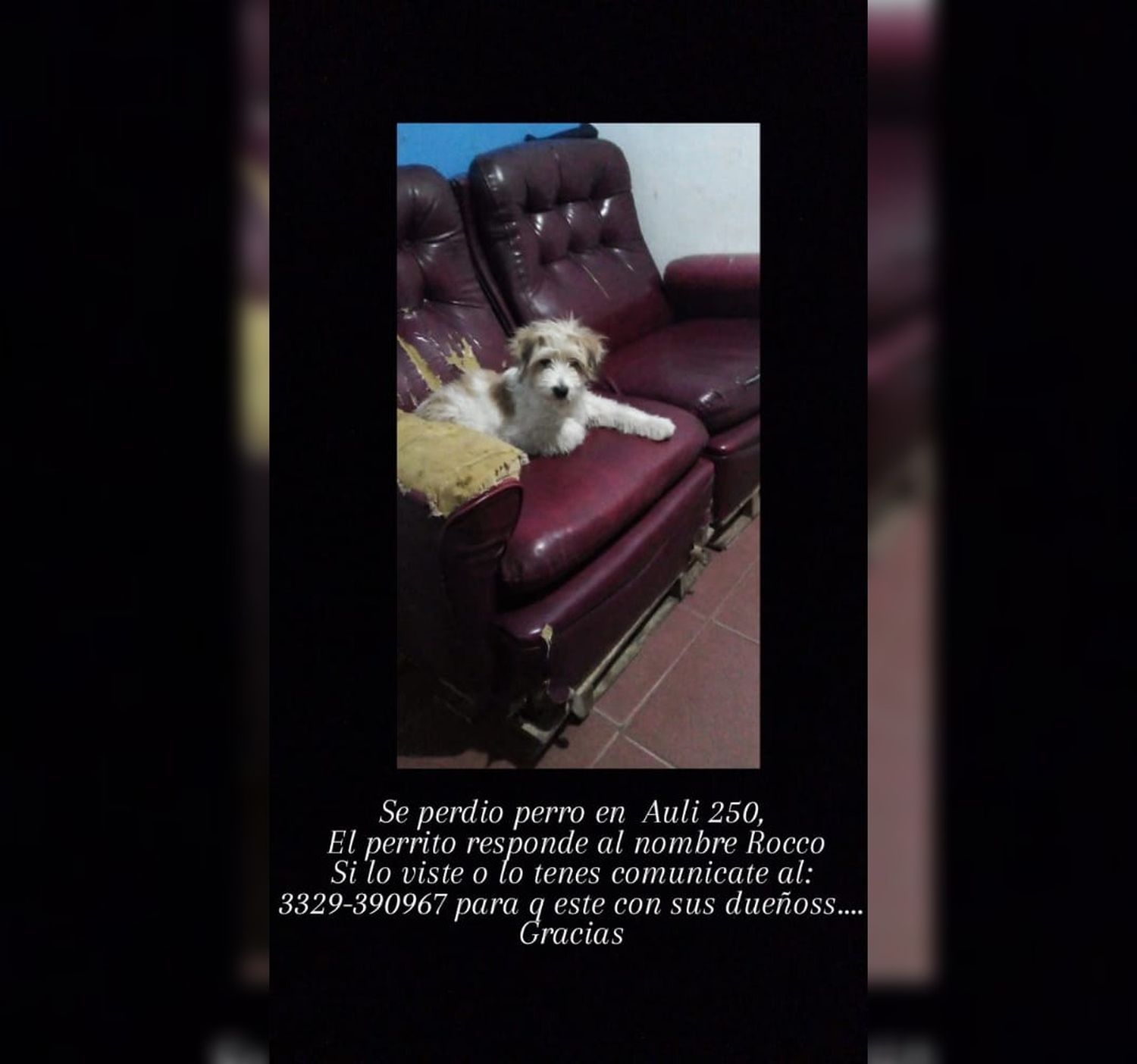 Buscan a Rocco