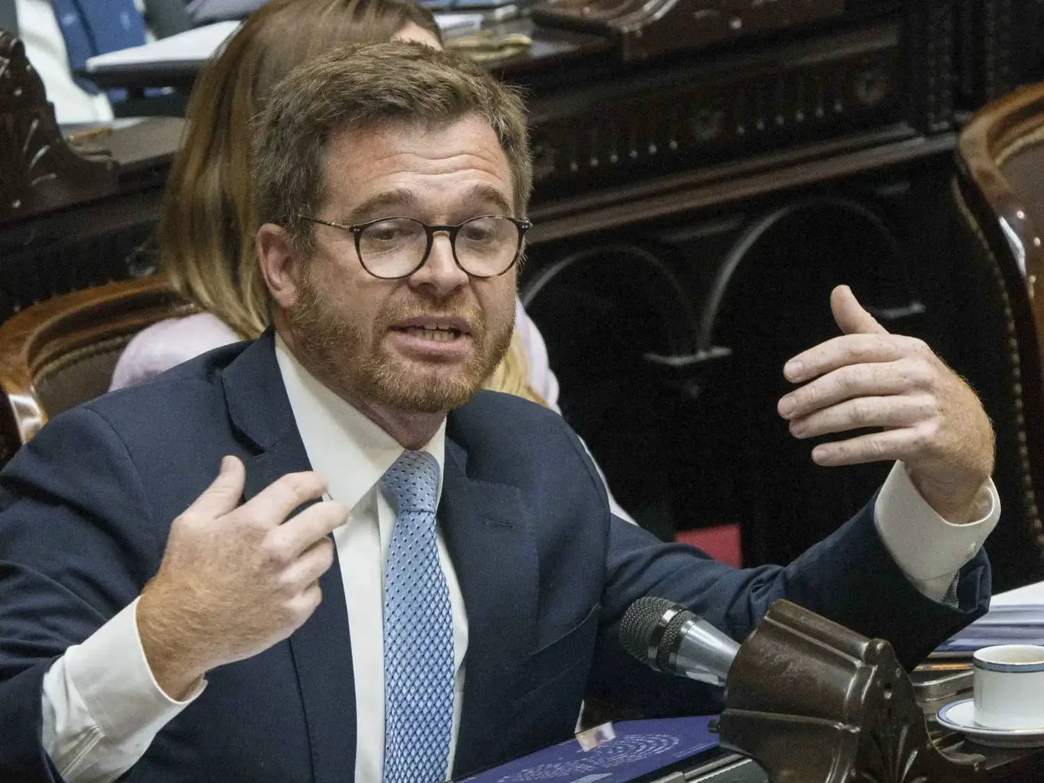 Nicolás Massot, diputado nacional.
