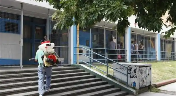 La Plata: Arlía cerró Jardín Maternal por invasión de alacranes