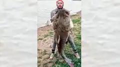 Pescó un surubí de 40 kilos en el río Paraná y contó cómo lo hizo