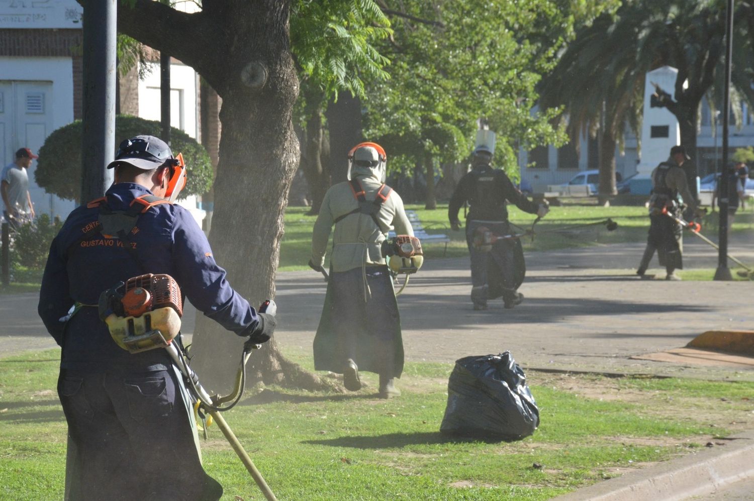 Trabajos de mantenimiento en plaza San Martín