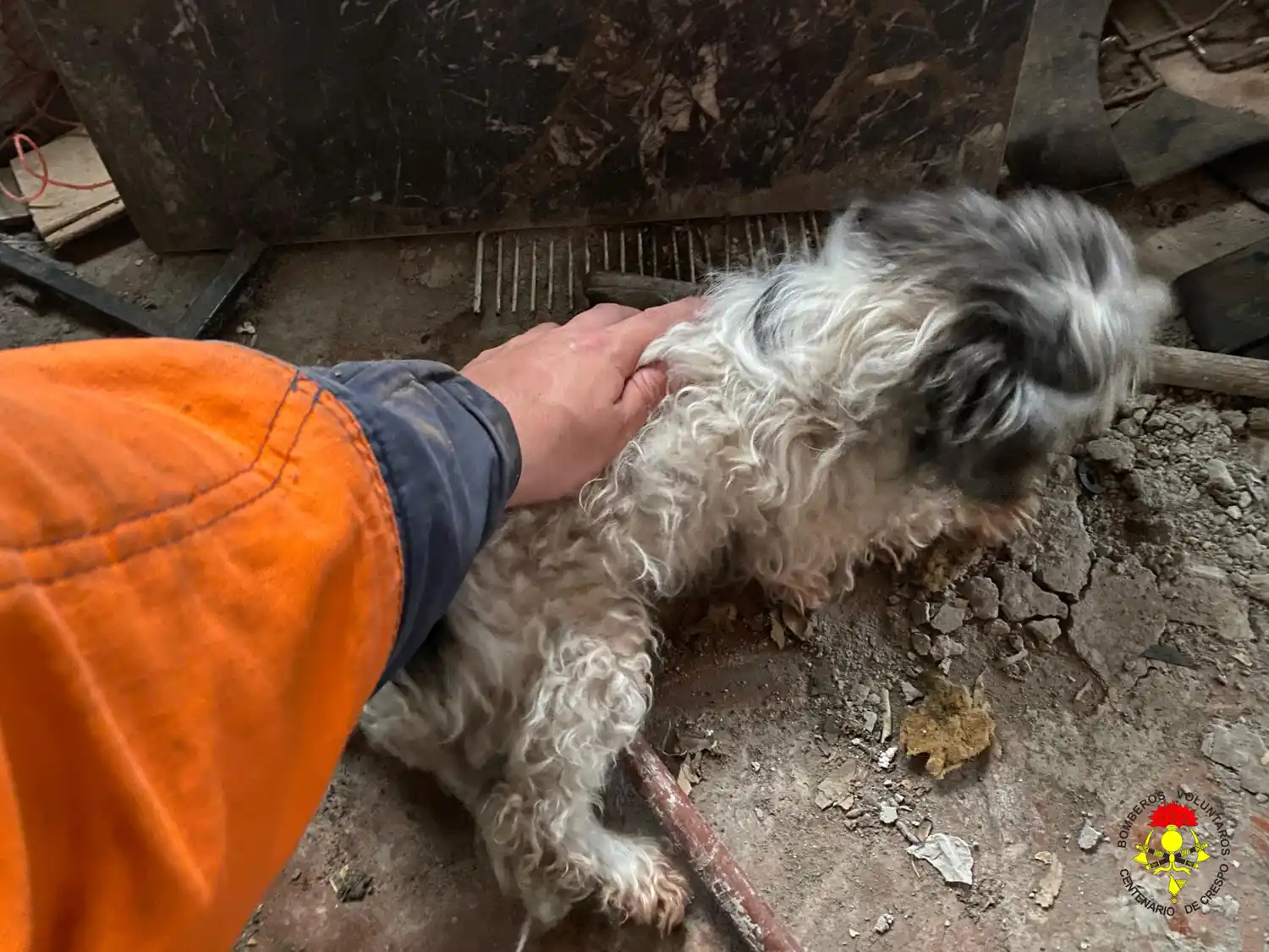Rescate de un perro atrapado en un pozo moviliza a Bomberos Voluntarios