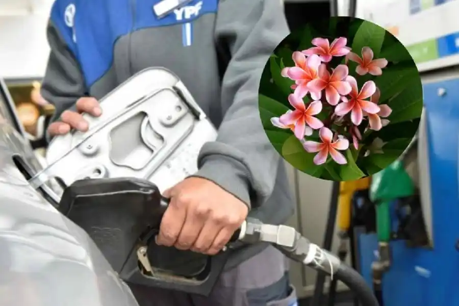 La primavera llega con un nuevo aumento de la nafta