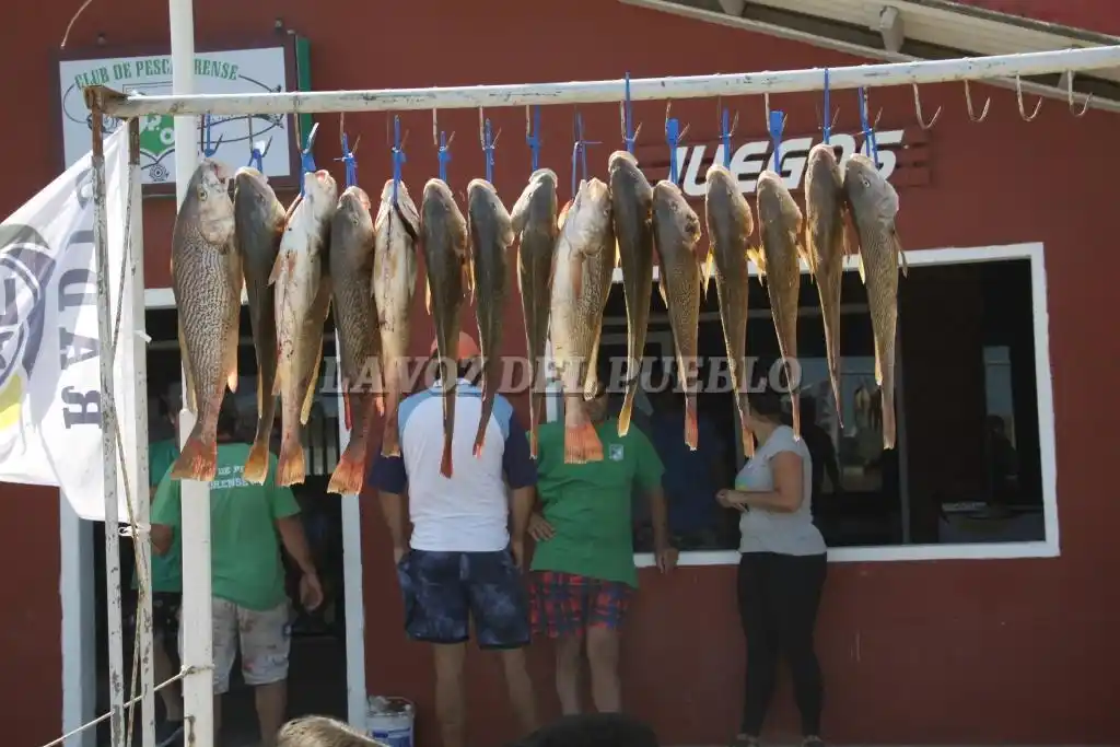 Pesca Orense