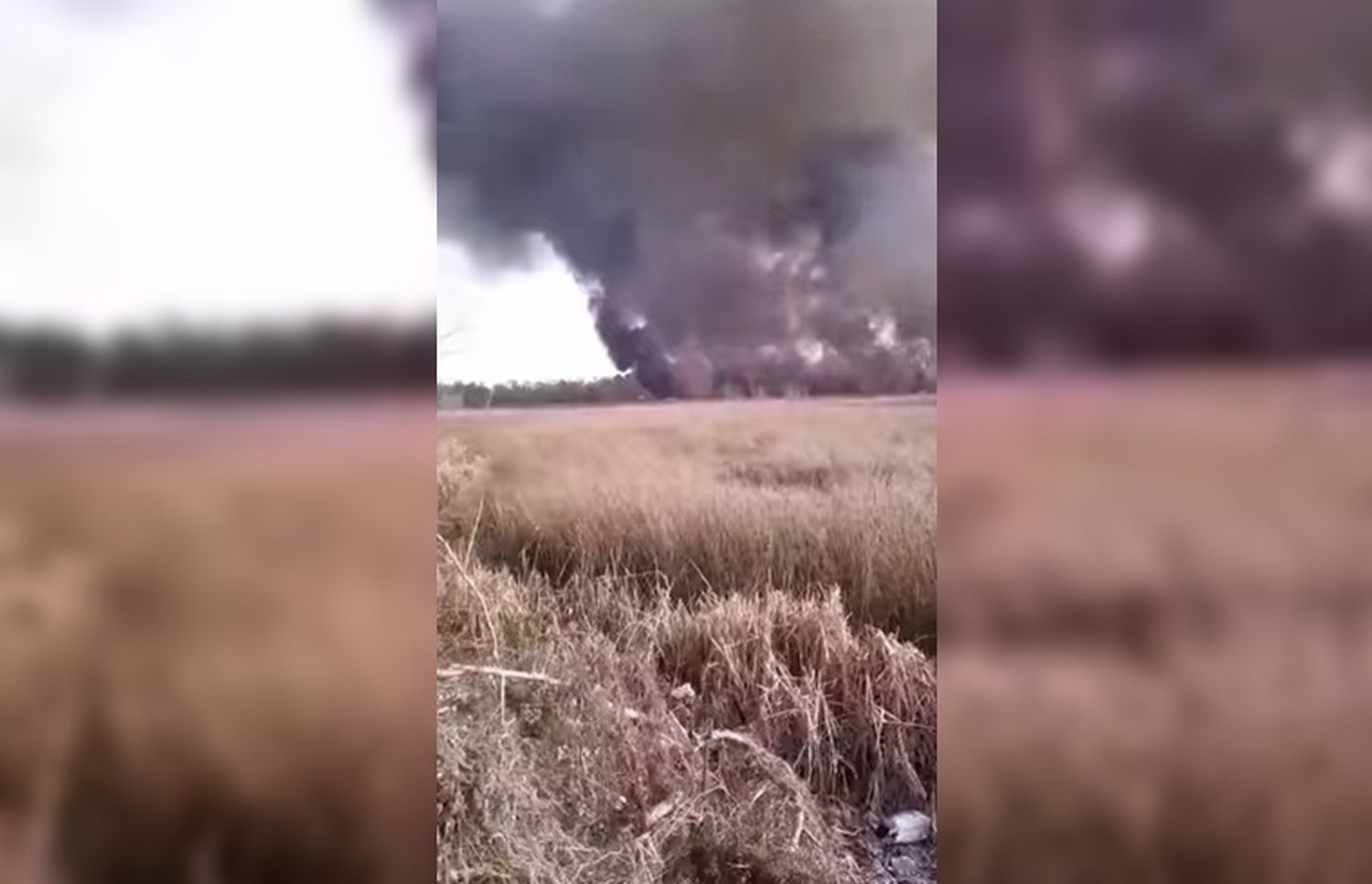 Esteban Echeverría: Se detectaron focos de incendio en la Reserva Natural Laguna de Rocha