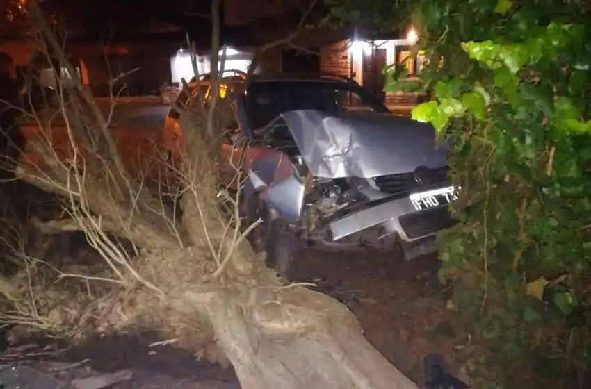Perdió el control y chocó contra un árbol: hubo tres hospitalizados