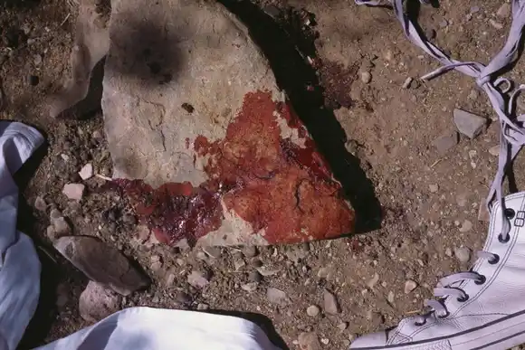 Se estrena “Matar a Pablo” en el MMAUP