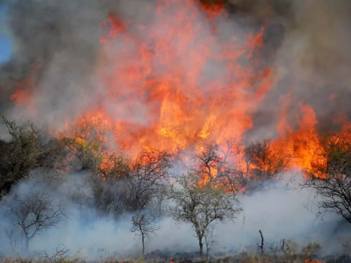 Siguen activos dos focos y alertan que el riesgo de incendios es "extremo"