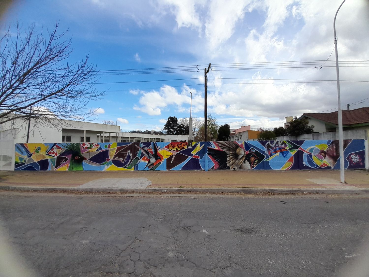 Murales en escuelas Arte Joven - 3