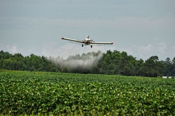 Quedó firme la condena contra un productor por la muerte de un niño por agroquímicos