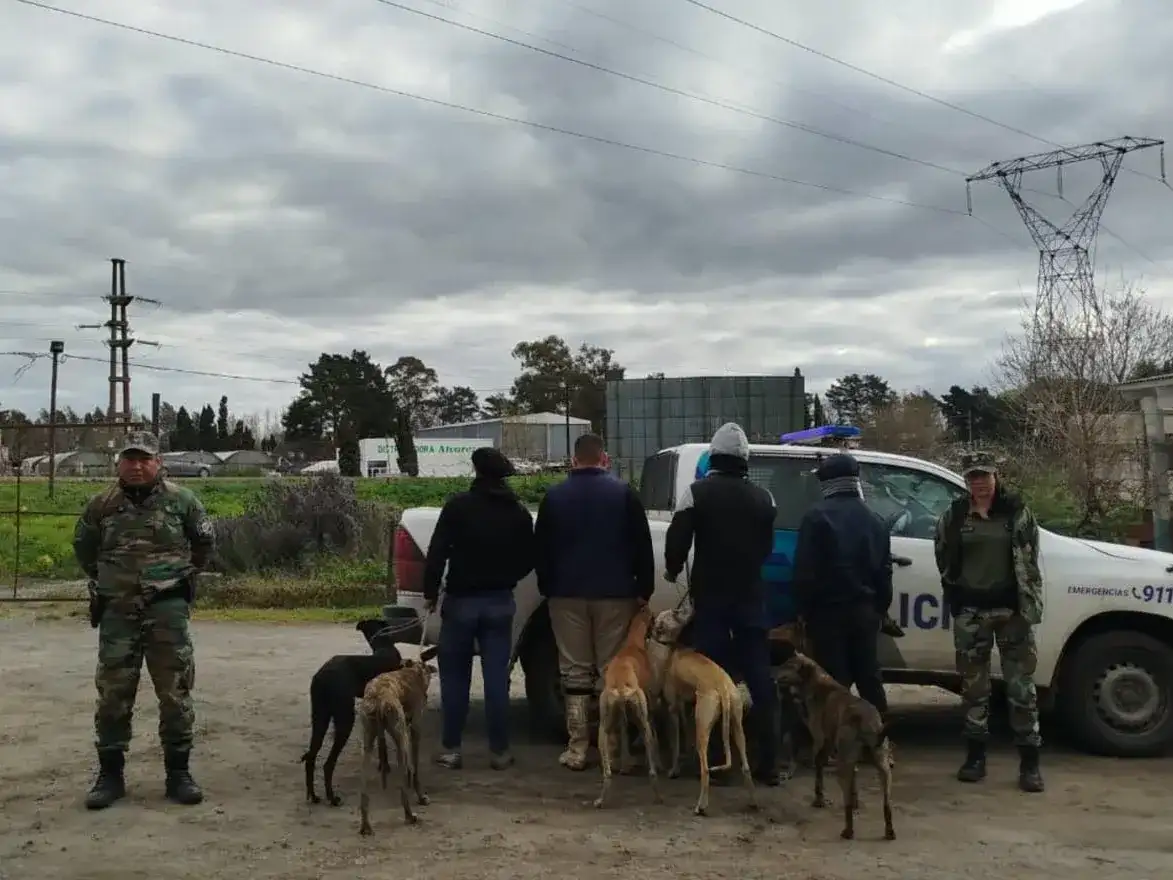 Los aprehendidos no contaban con licencia de caza ni con autorización del propietario para ingresar al establecimiento.