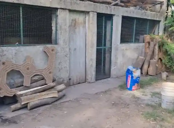 Horror en un centro de rehabilitación: ataban y torturaban a pacientes