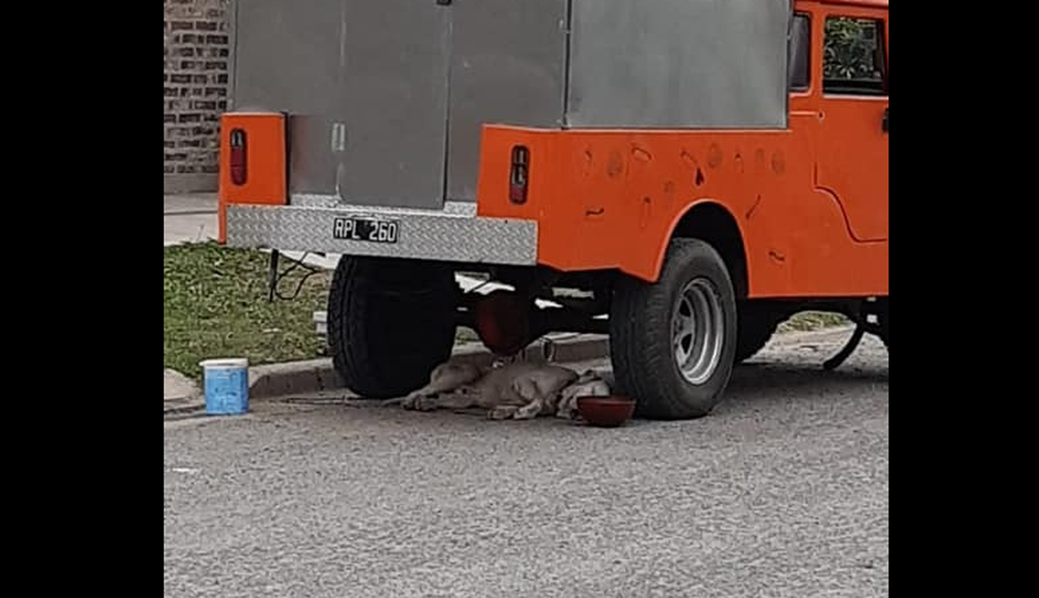 Buscan a los dueños de un perro que lleva horas atado abajo de un vehículo