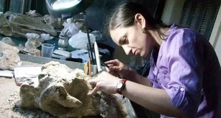 Investigadora del Centro Científico Tecnológico de Mendoza pasó por el Museo Paleontológico