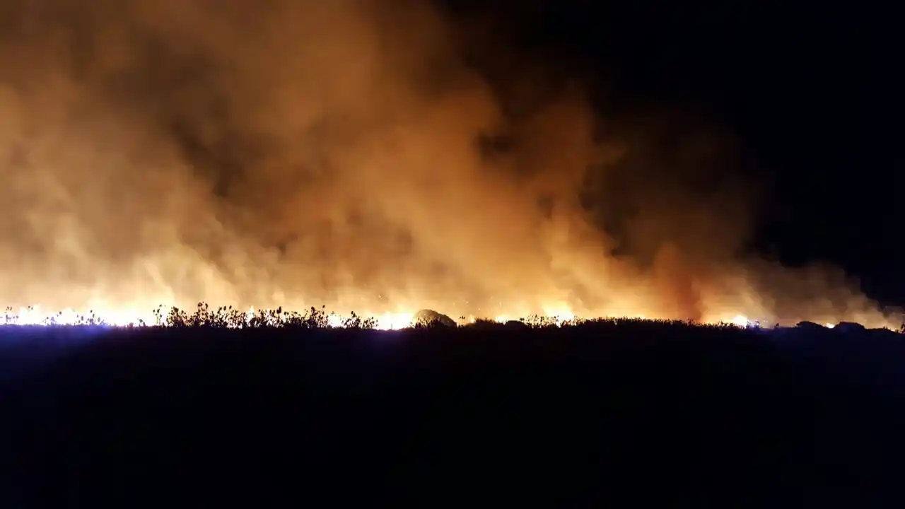 Importante incendio en ruta 88: trabajan 3 dotaciones